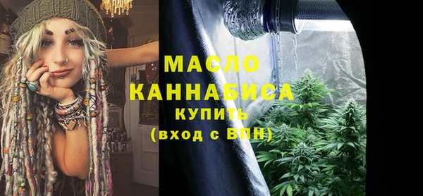 молекула духа Надым